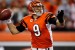 Carson Palmer Cincinnati Bengals