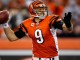 Carson Palmer Cincinnati Bengals